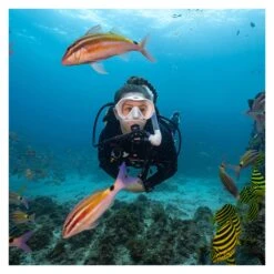 Tusa Zensee Frameless Mask -Diving Equipment Shop m 1010 qb 4 5