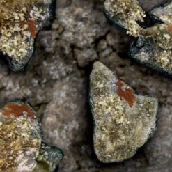 Omer Holostone 3mm Wetsuit -Diving Equipment Shop su277111 3 1