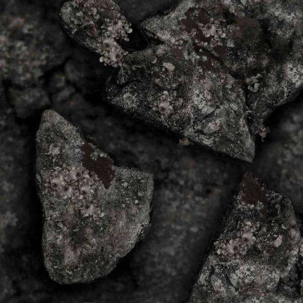 Omer Blackstone 3mm Wetsuit 3 Omer Blackstone 3mm Wetsuit - Image 3